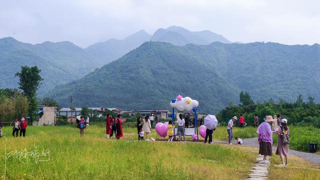 西安旅游攻略：西安高新区上滩村「西安伞塔路自行车市场都有什么森林公园和万花山景区」  第21张