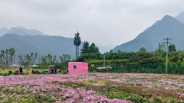 西安旅游攻略：西安高新区上滩村「西安伞塔路自行车市场都有什么森林公园和万花山景区」  第23张
