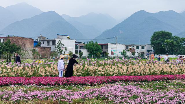 西安旅游攻略：西安高新区上滩村「西安伞塔路自行车市场都有什么森林公园和万花山景区」  第26张