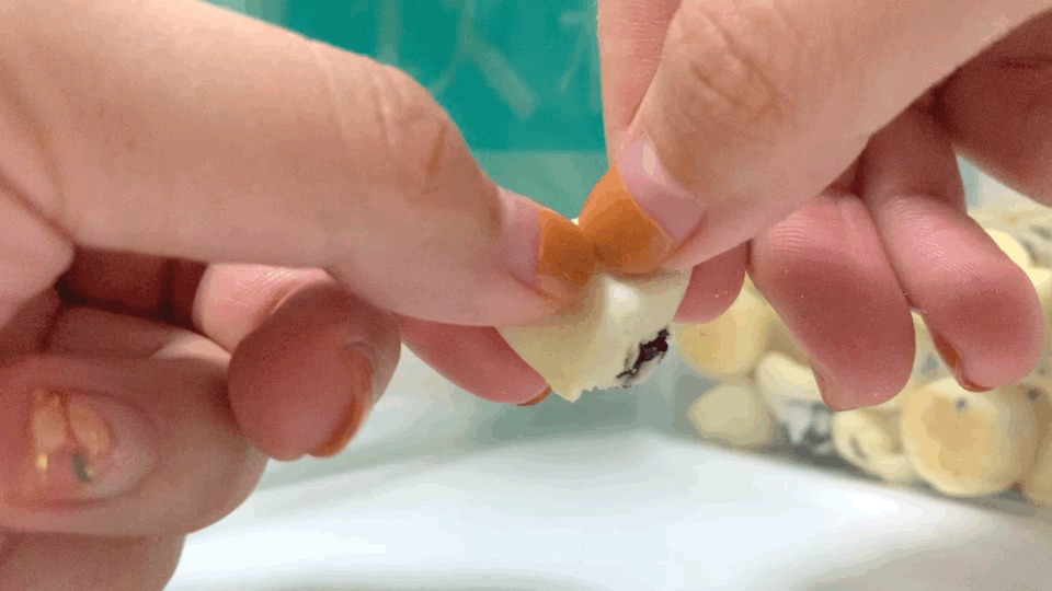 西安那里小食品批发最全的小食品批发市场批发市场「西安4家网红麻薯店，你吃过几家？」  第16张