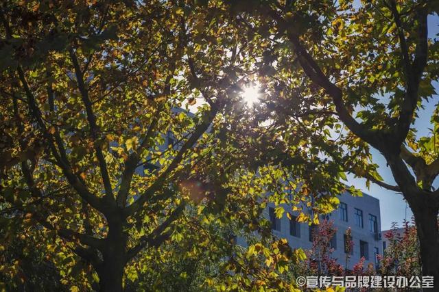 西安雅迪休闲电动车2、西安哪里有卖雅迪电动车的的「百变的高新｜西安哪里有卖雅迪电动车的？」  第4张