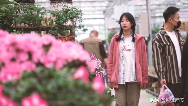 西安有哪些好玩的地方「西安市民休闲打卡地有哪些好玩的地儿西安有哪些好玩的地方」  第9张
