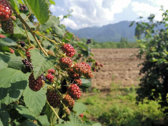 西安周边垂钓休闲的农家乐？西安十大钓鱼圣地？「西安十大钓鱼圣地？西安周边垂钓休闲的农家乐？」  第3张