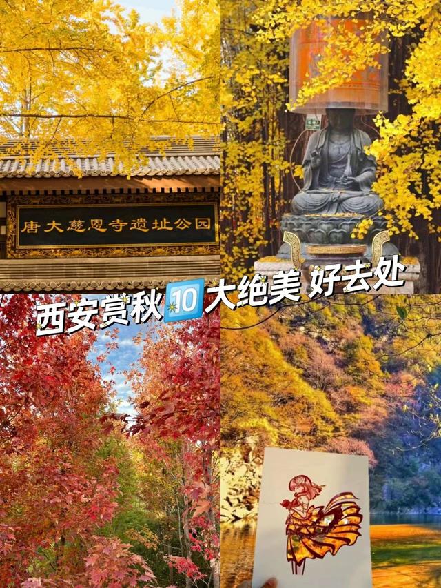 西安拍照休闲地点有哪些西安拍照休闲地点有哪些「西安拍照休闲地点」  第1张