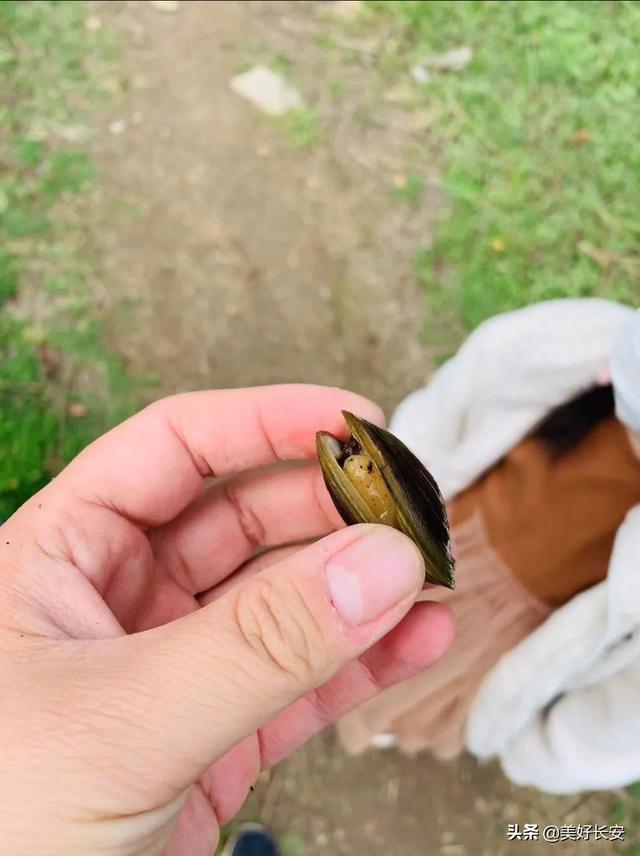 西安雁鸣湖湿地公园游记「大脸妹拍摄大脸妹拍摄大脸妹拍摄大脸妹拍摄雁鸣湖」  第6张