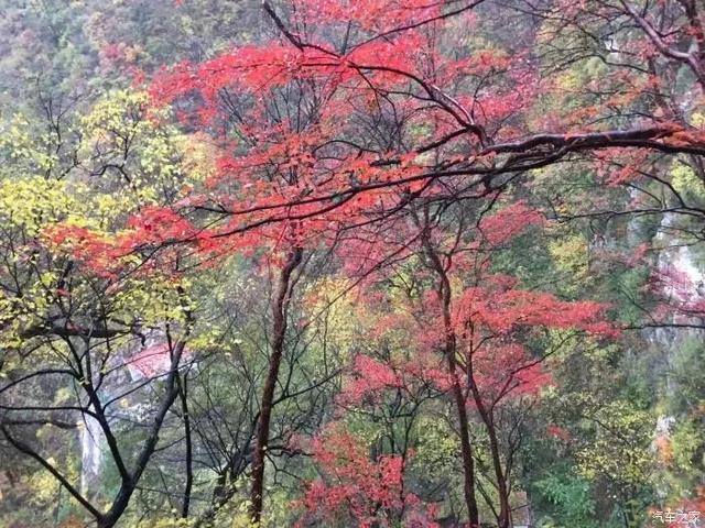 西安山水游玩「西安山水农家乐」  第16张