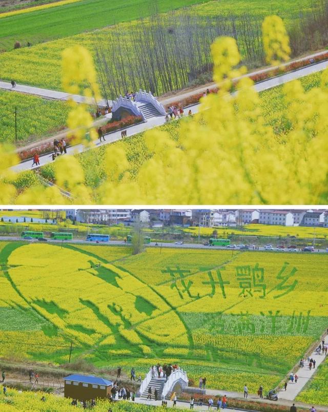 西安自驾游攻略「西安休闲山居在西安休闲山居在西安紫薇山居怎么样」  第56张