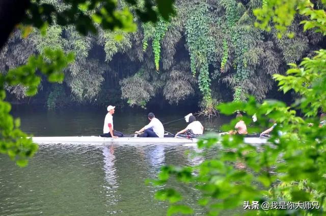 西安浐灞国家湿地公园浐灞国家湿地公园打卡地「西安市浐灞国家湿地公园浐灞国家湿地公园」  第3张