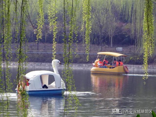 西安休闲船、兴庆宫公园游乐项目？「兴庆宫公园游乐项目？」  第6张