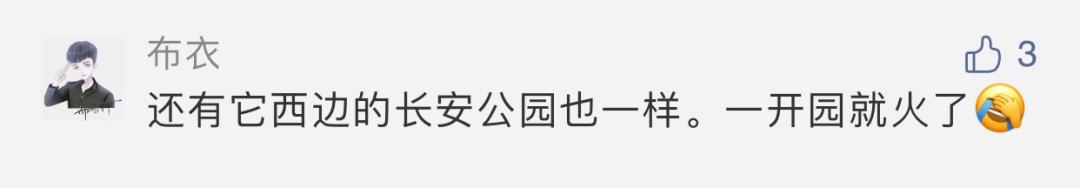 西安长安公园游记「西安休闲钓场西安休闲钓场大家分布着文杏馆、竹里班馆等多处景观」  第2张