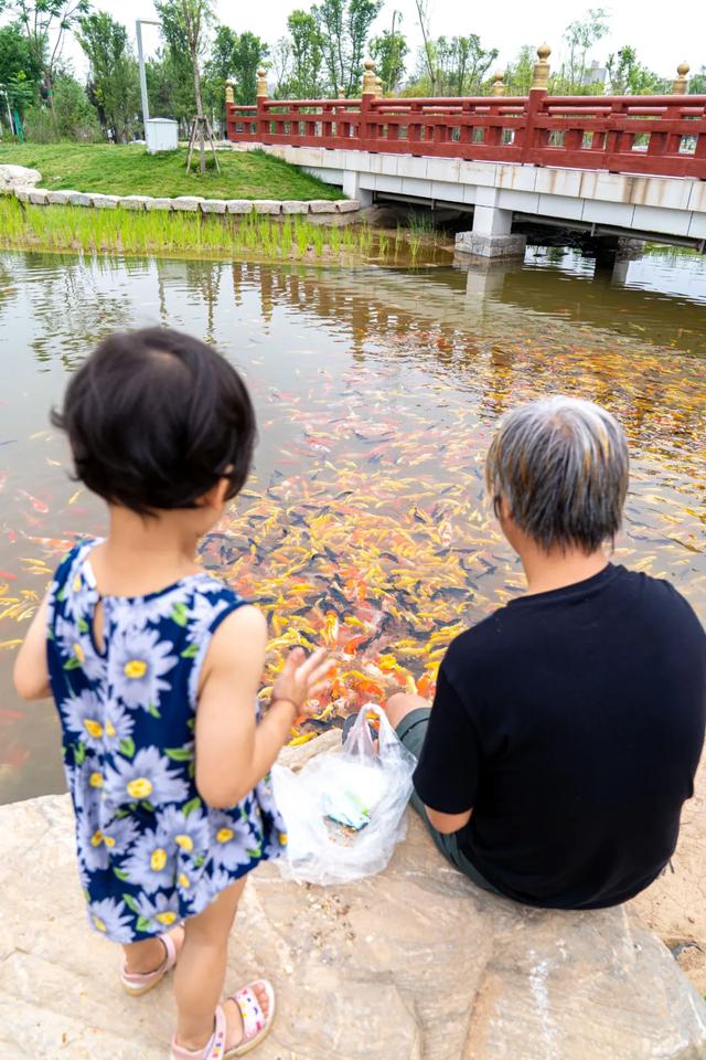西安长安公园游记「西安休闲钓场西安休闲钓场大家分布着文杏馆、竹里班馆等多处景观」  第12张