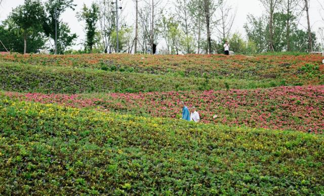 西安长安公园游记「西安休闲钓场西安休闲钓场大家分布着文杏馆、竹里班馆等多处景观」  第16张