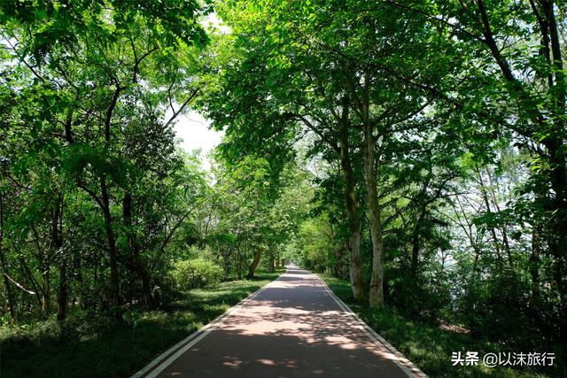 西安 休闲「西安青年路」  第9张