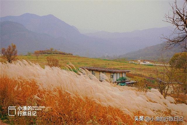 西安旅游休闲西安旅游休闲这是小渔的行旅日记，走走停停，走停停「西安旅游休闲——照金镇」  第9张
