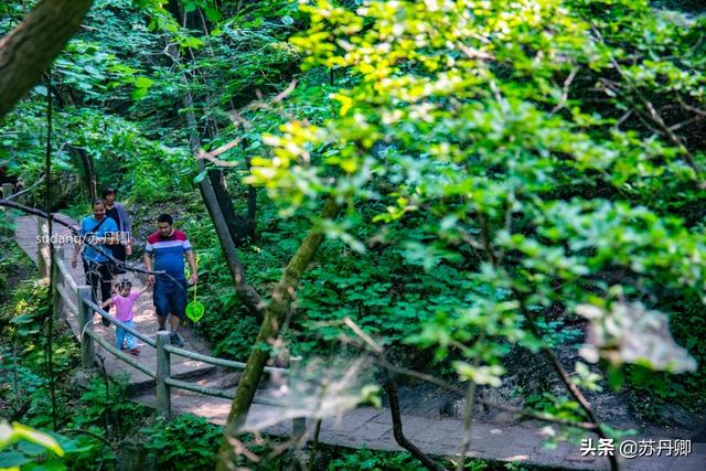 端午节带着孩子去哪里旅游？「中国农家宾馆第一村落，端午节必有yi番想不到的充满闲趣」  第1张