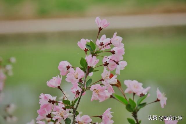 西安休闲旅游「西安休闲娱乐」  第20张