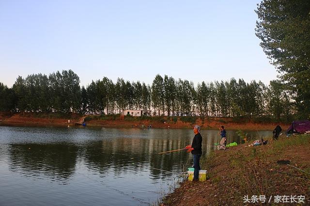 西安周边能钓鱼和打麻将的农家乐？西安：悠悠南山下田园苍鹭飞「西安休闲水库垂钓」  第14张