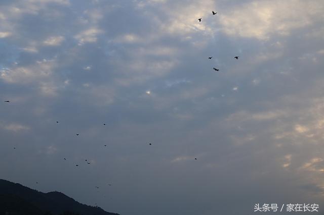西安周边能钓鱼和打麻将的农家乐？西安：悠悠南山下田园苍鹭飞「西安休闲水库垂钓」  第12张