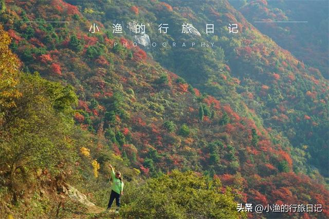 西安山里休闲生活小区「西安山里面哪里可以玩」  第14张