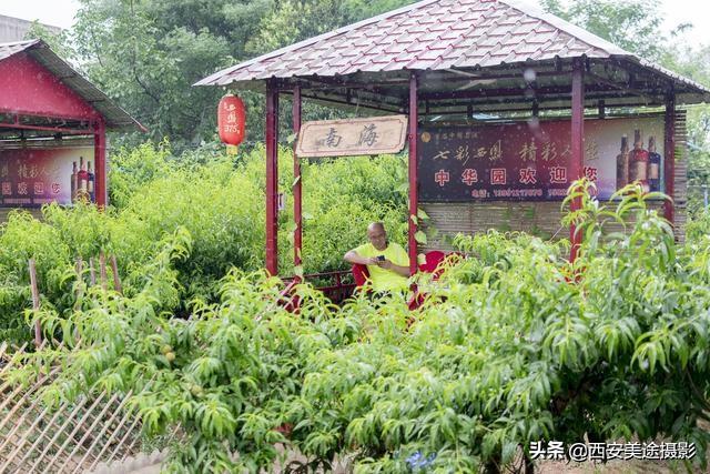 西安老人休闲俱乐部有哪些「西安适合老人玩的地方」  第16张