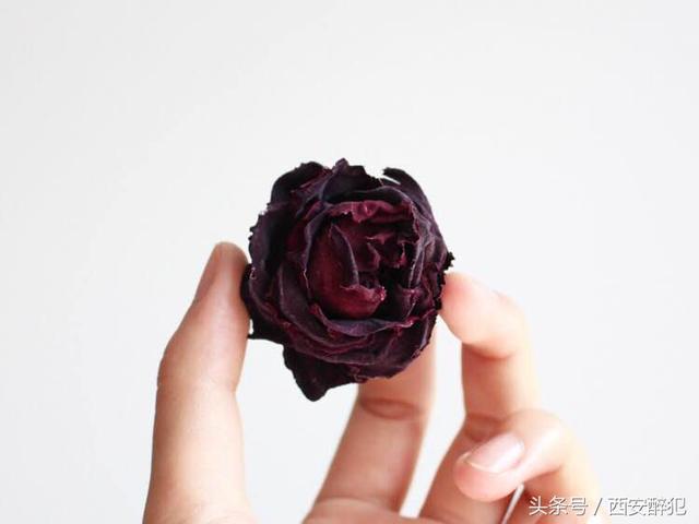 西安小玉休闲上帝种上玫瑰和茶用时3年庆幸一切多么美好「西安小玉休闲上帝种上玫瑰和茶用时3年庆幸一切多么美好」  第1张