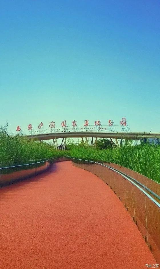 西安渭河浐灞国家湿地公园的彼岸花开了，世界dou香「西安浐河国家湿地公园彼岸花」  第5张