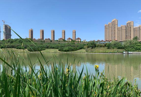 西安雁鸣湖休闲公园「雁鸣湖西安」  第16张