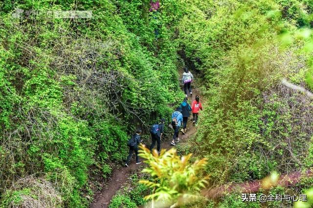 西安旅游攻略：西安旅游攻略「西安休闲场所推览：西安同城浴池哪里好西安休闲场所推览」  第1张