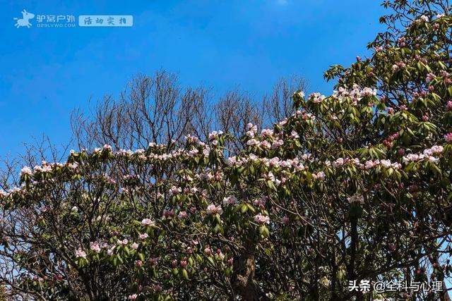 西安旅游攻略：西安旅游攻略「西安休闲场所推览：西安同城浴池哪里好西安休闲场所推览」  第5张