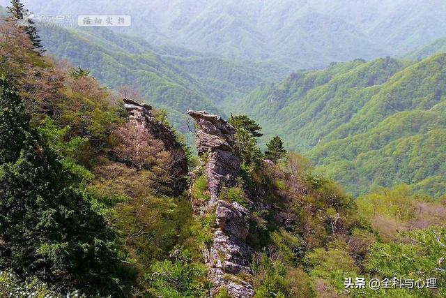 西安旅游攻略：西安旅游攻略「西安休闲场所推览：西安同城浴池哪里好西安休闲场所推览」  第8张