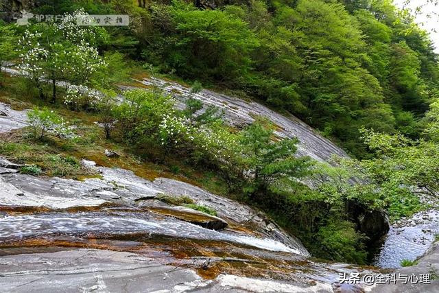 西安旅游攻略：西安旅游攻略「西安休闲场所推览：西安同城浴池哪里好西安休闲场所推览」  第7张