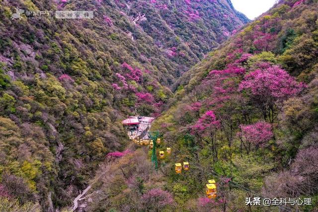西安旅游攻略：西安旅游攻略「西安休闲场所推览：西安同城浴池哪里好西安休闲场所推览」  第13张