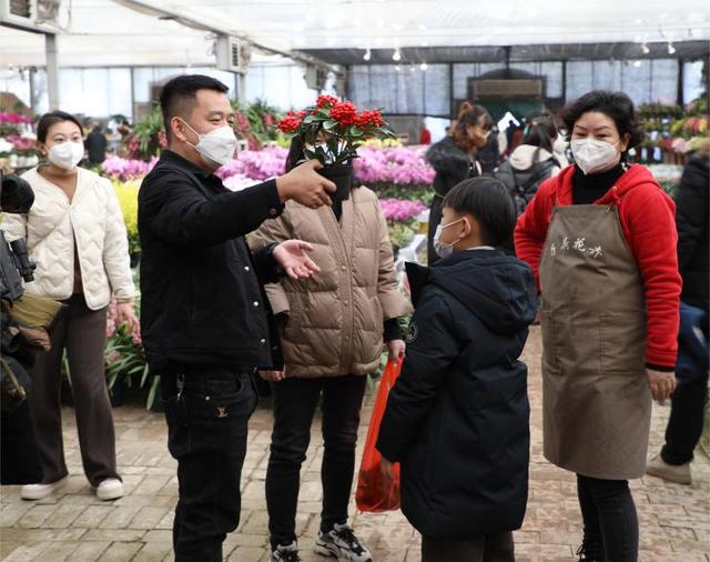 西安花卉展示室内设计「西安休闲阳台书桌书桌春节置一盆香气馥郁的“年宵花”」  第3张