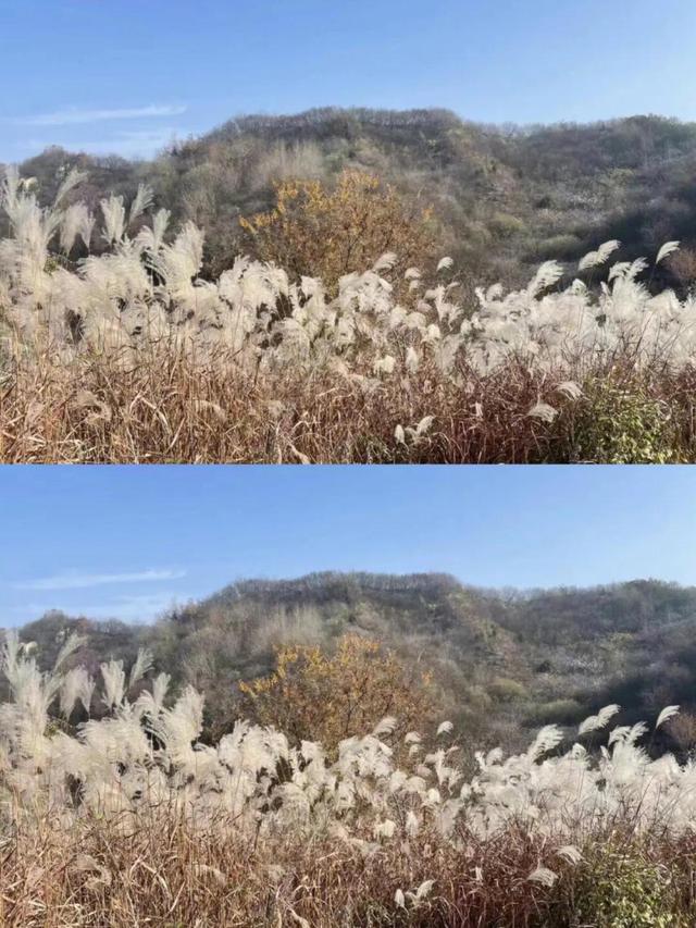 西安周边6条徒步路线，赏初雪看芦苇观云海！90%的人都不知道！「西安周边6条徒步路线赏初雪看芦苇观云海||」  第4张