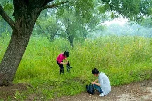西安九大挖野菜的好地方，赶紧出发吧！「西安九大挖野菜地图，带上家人和你的小铲铲，赶紧出发吧」  第5张