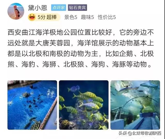 西安曲江海洋极地公园游记「西安曲江海洋极地公园」  第31张