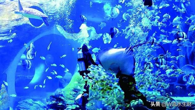 西安休闲娱乐影院、西安私人影院哪家安全？「西安休闲娱乐影院2、西安私人影院2、西安私人影院哪家安全」  第2张