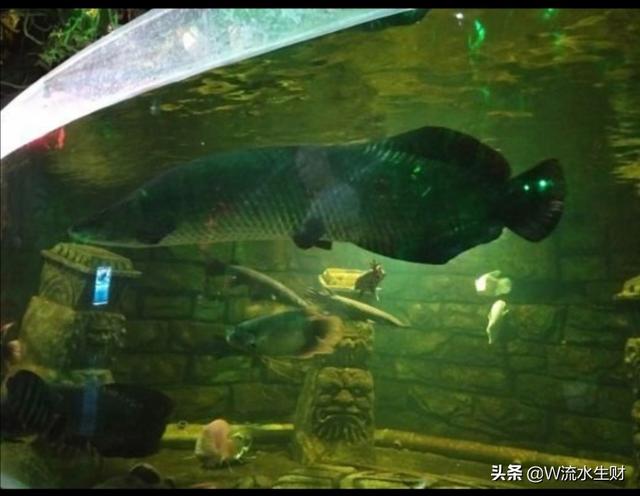 西安休闲娱乐影院、西安私人影院哪家安全？「西安休闲娱乐影院2、西安私人影院2、西安私人影院哪家安全」  第7张