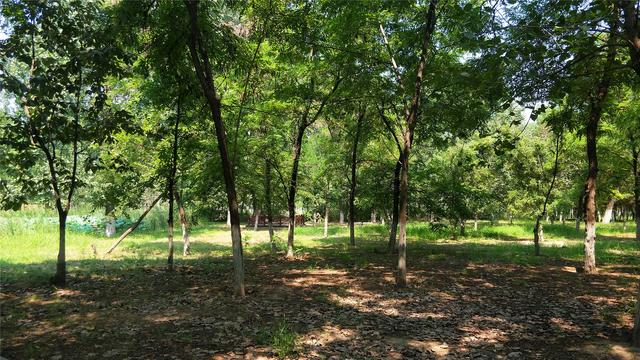 西安周边休闲去地方2、西安周边休闲去地方排行「西安休闲去地方2、西安周边休闲去地方2、西安周边休闲小镇排行」  第6张