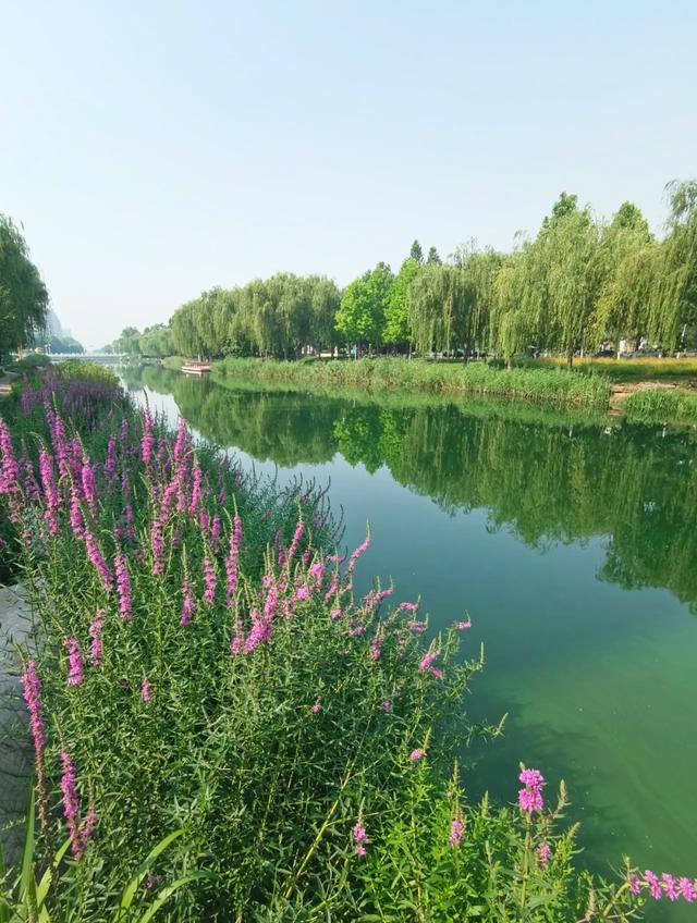 西安市有一处免费的赏荷花网红打卡点，环境好景色美，周末散心遛娃好地方，你去过吗？「西安周边600公里能玩的地方？」  第3张