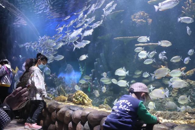 西安周末同学休闲2、西安周末同学休闲2、西安适合自己带书看的地方「缤fen在华夏，多彩童梦节」  第2张