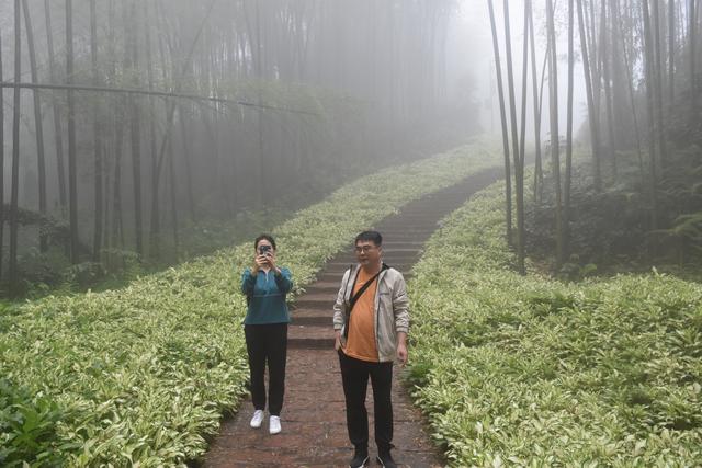 西安雅荷度假山庄的房子怎么样，西安的房子怎么样「西安自驾游攻略」  第8张