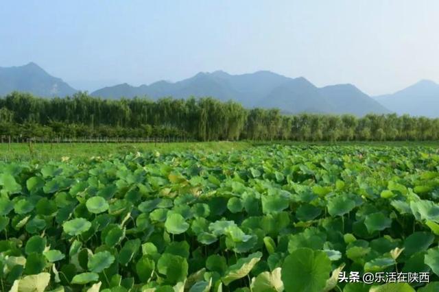 西安亲子洗浴休闲，熙地港有几层？「西安亲子洗浴休闲2、熙地港有几层亲子洗浴休闲神兽」  第8张