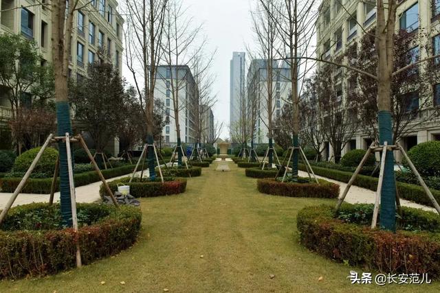 西安足浴休闲城西安足浴休闲城第十四届全运村全运村「第十四届西安全运会餐厅一览」  第9张