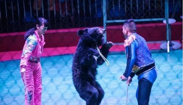 西安五一休闲娱乐西安五一休闲娱乐「西安五一休闲娱乐」  第7张