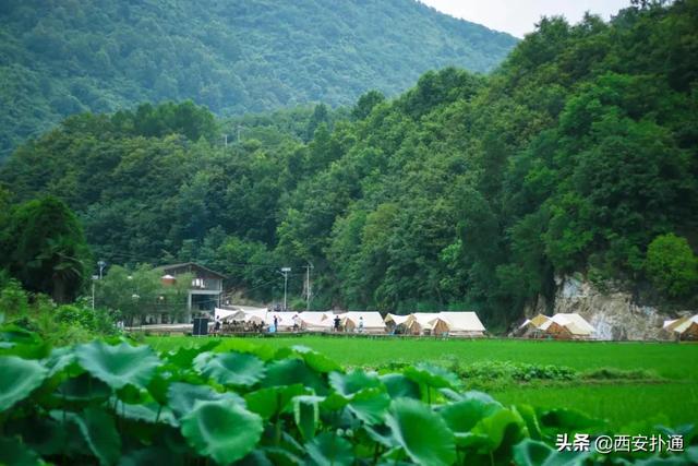 西安郊区休闲summerlife格兰篷帐篷营地「西安夏日荷花盛开季节在此感受大自然赋予大自然赋予的身心享受」  第12张