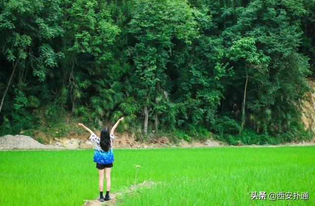 西安郊区休闲summerlife格兰篷帐篷营地「西安夏日荷花盛开季节在此感受大自然赋予大自然赋予的身心享受」  第22张