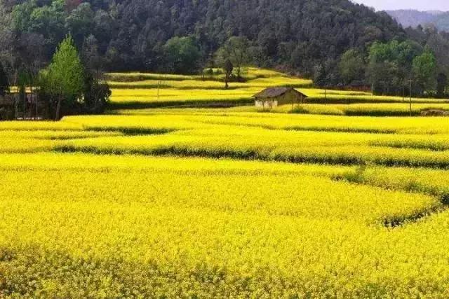 西安圣洁休闲阁怎么样「西安静阁」  第5张