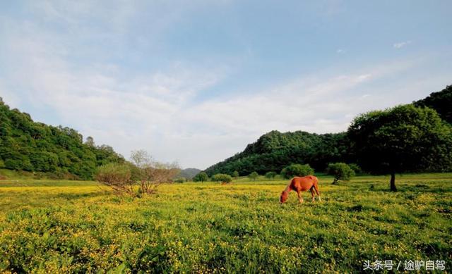 西安附近特色休闲周末故意公园唐僧师徒取经经过之地「西安旅游攻略」  第34张