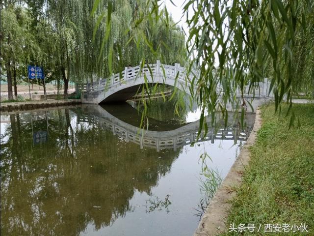 西安休闲湿地公园在哪里「西安比较好的湿地公园」  第2张